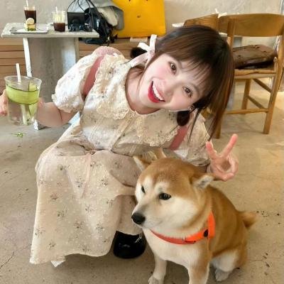 猫咪不跳舞